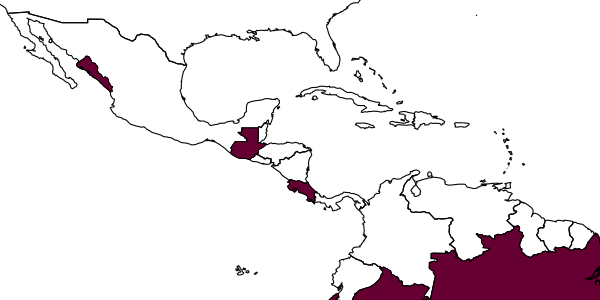 map of Mesochorus placitus     Dasch, 1974